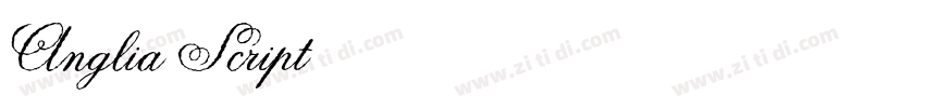 Anglia Script 普通西方字体转换